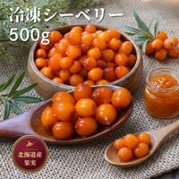 北海道産 冷凍シーベリー 500g （420008） 江戸屋 希少 国産サジー シーバックソーン スーパーフード 果実酒 ジャム スムージー ギフト お歳暮