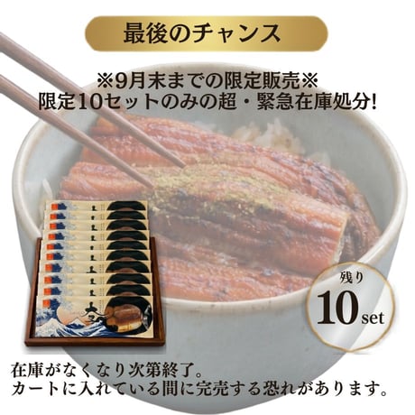 【10セット限定・お中元解体得値】国産うなぎ蒲焼 ハーフカット 10袋セット｜ふっくら極上の柔らかさ。真空小分けパック・特別価格。