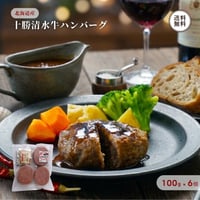 十勝清水牛ハンバーグ 6個 セット （410125） 100g×6個 タレ付 江戸屋 北海道 十勝清水産 牛肉 ハンバーグ 肉汁 惣菜 簡単調理 冷凍 ギフト お歳暮