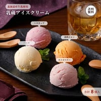 乳蔵 アイスクリーム 8個入 4種 詰め合わせ （110129） 江戸屋 バニラ ストロベリー ハスカップ 赤肉メロン 各2個 カップアイス ギフト お歳暮