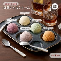 乳蔵 アイスクリーム 5個入 （110167） 5種 詰め合わせ 江戸屋 バニラ ハスカップ メロン 2種 ストロベリー 各80ml アイス スイーツ ギフト お歳暮
