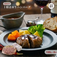 十勝清水牛ハンバーグ 8個 セット （410138） 100g×8個 タレ付 江戸屋 北海道 十勝清水産 牛肉 ハンバーグ 肉汁 惣菜 簡単調理 冷凍 ギフト お歳暮