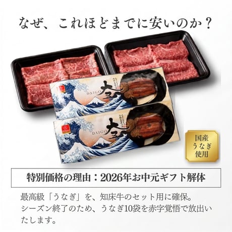 【10セット限定・お中元解体得値】国産うなぎ蒲焼 ハーフカット 10袋セット｜ふっくら極上の柔らかさ。真空小分けパック・特別価格。
