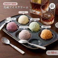 乳蔵アイスクリーム 10個 （110130） 江戸屋 北海道産ミルク フルーツ 5種アソート バニラ ハスカップ メロン2種 ストロベリー 贅沢アイス ギフト お歳暮