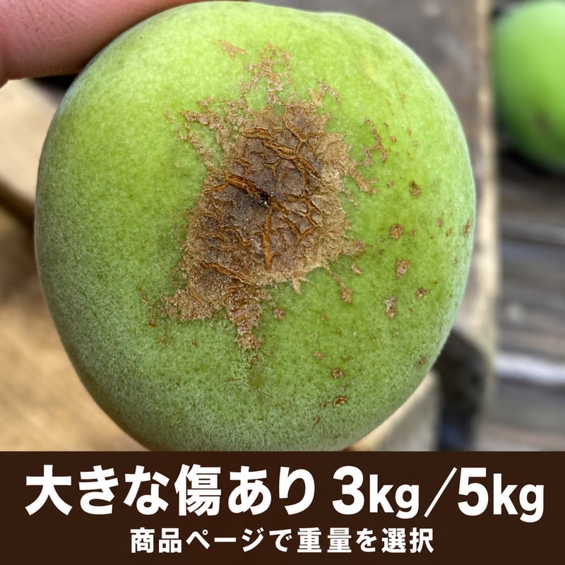 大きな傷あり紀州南高青梅 3kg/5kg | 紀州南高梅 青梅の通販サイト