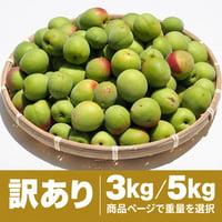 大きな傷あり紀州南高青梅 3kg/5kg | 紀州南高梅 青梅の通販サイト
