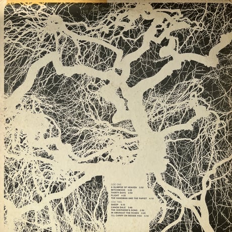 Strawbs / From The Witchwood