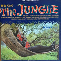 B.B.King / The Jungle