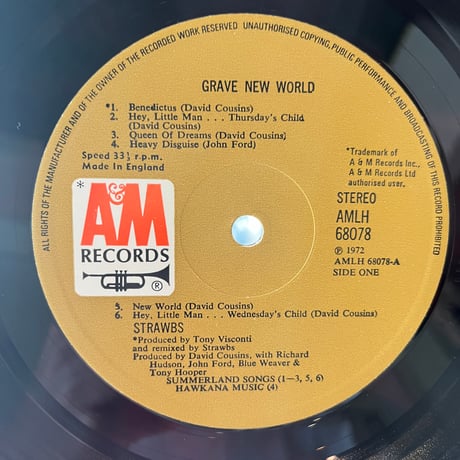 Strawbs / Grave New World