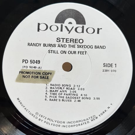 Randy Barns And The Sky Dog Band / Still On Our Feet