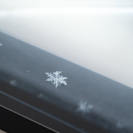 lumikka｜Unfold｜Winter Stories 12