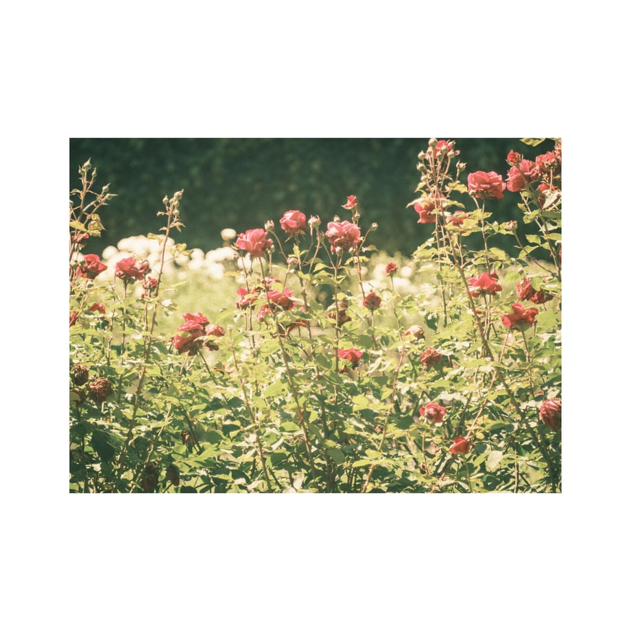 6a7f222d8eae80998e3820eb