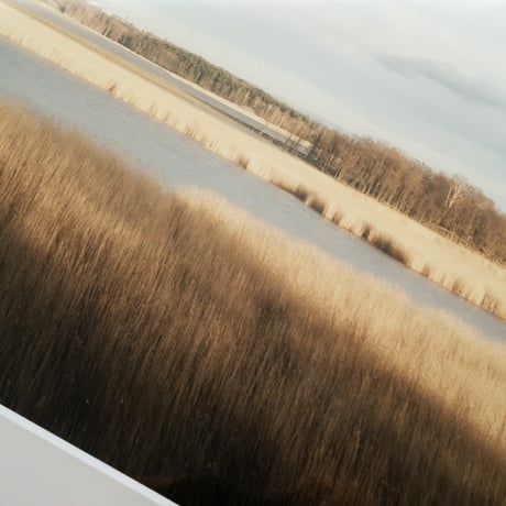 lumikka｜Unfold｜Lammassaari