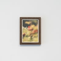 lumikka｜Unfold｜Bloom Ⅲ