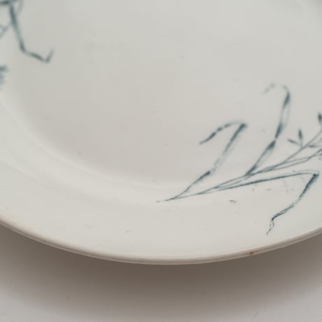 Arabia｜plate φ15.5cm｜02