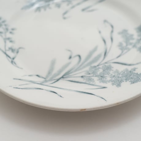 Arabia｜plate φ15.5cm｜01