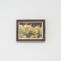 lumikka｜Unfold｜Bloom Ⅴ