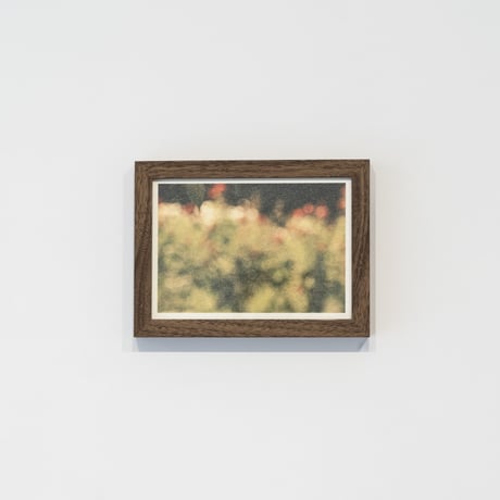 lumikka｜Unfold｜Bloom Ⅴ