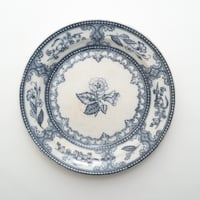 Arabia｜Speranza｜plate φ24.5cm