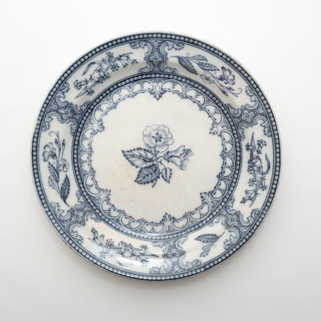 Arabia｜Speranza｜plate φ24.5cm