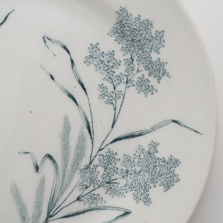 Arabia｜plate φ15.5cm｜01