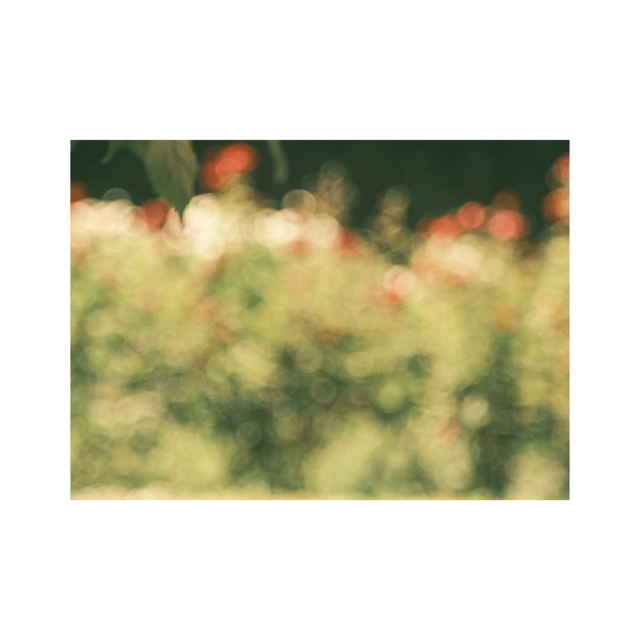 6a7df18082a509142c82028d