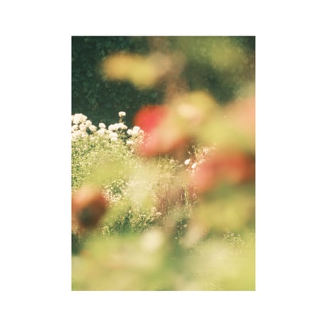 lumikka｜Unfold｜Bloom Ⅲ