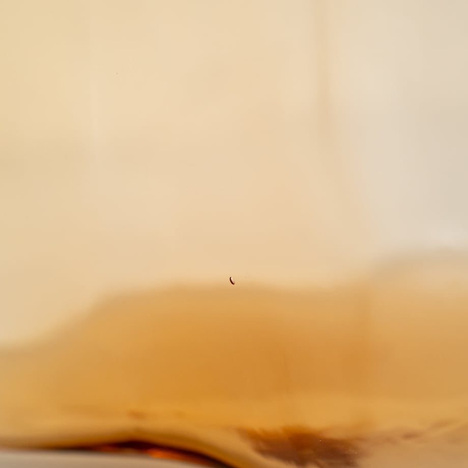6541353956efca0b0569fe6a