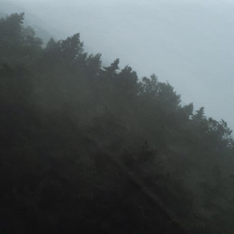 lumikka｜Unfold｜Forest Rain