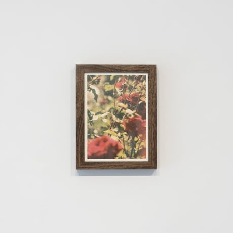 lumikka｜Unfold｜Bloom Ⅱ