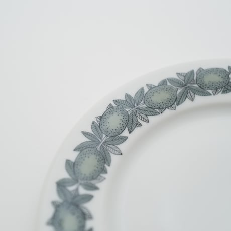 Arabia｜Citrus｜plate φ17.5cm