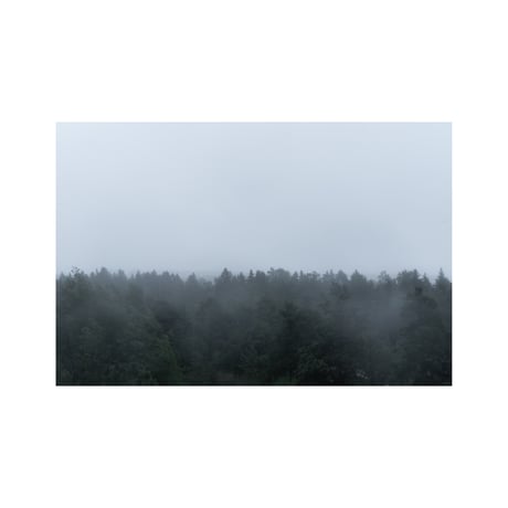 lumikka｜Unfold｜Forest Rain