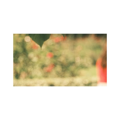 lumikka｜Unfold｜In Red