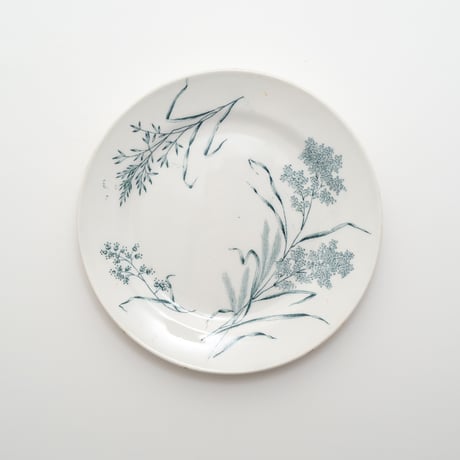 Arabia｜plate φ15.5cm｜01