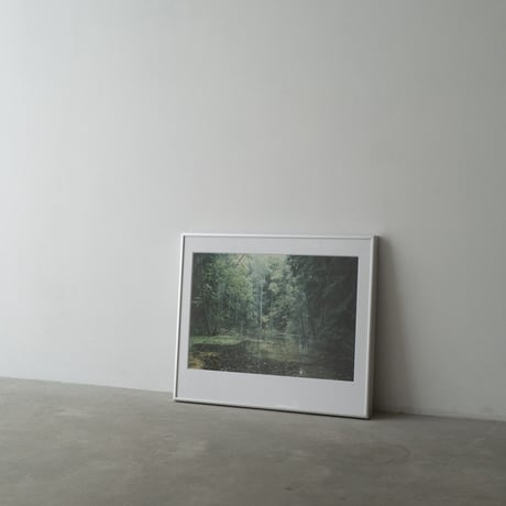 lumikka｜Unfold｜Autumn Spring