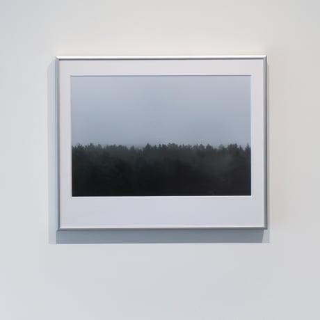 lumikka｜Unfold｜Forest Rain