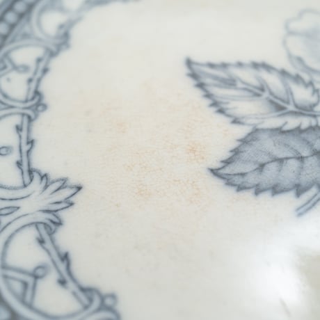 Arabia｜Speranza｜plate φ24.5cm