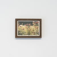 lumikka｜Unfold｜Bloom Ⅳ