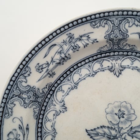 Arabia｜Speranza｜plate φ24.5cm
