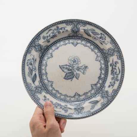 Arabia｜Speranza｜plate φ24.5cm