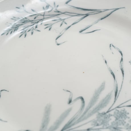 Arabia｜plate φ15.5cm｜01