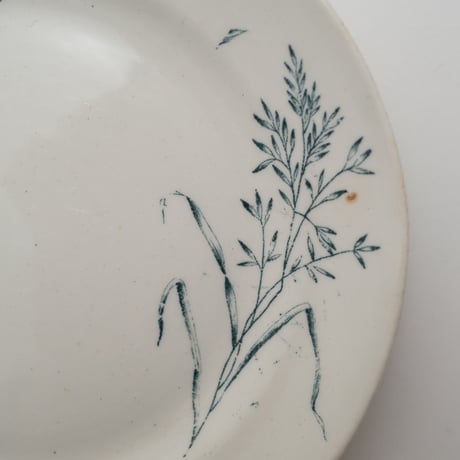 Arabia｜plate φ15.5cm｜02