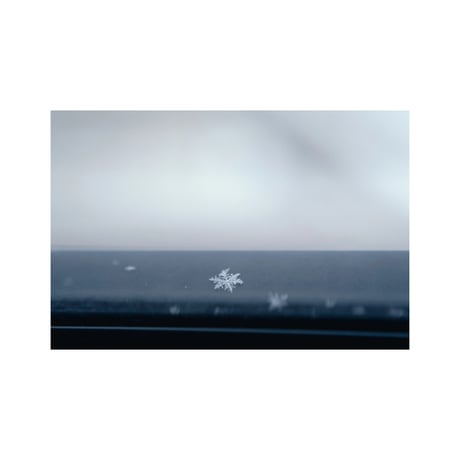 lumikka｜Unfold｜Winter Stories 12