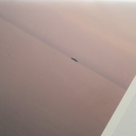 lumikka｜Unfold｜Baltic Sea Ⅰ