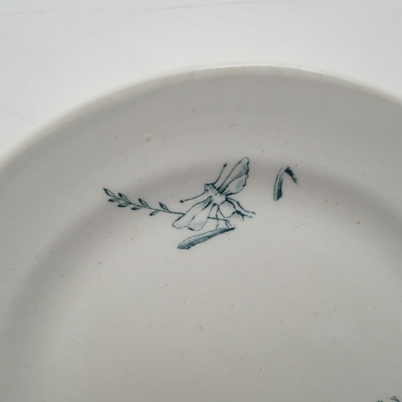 Arabia｜plate φ15.5cm｜02 | lumikka shop