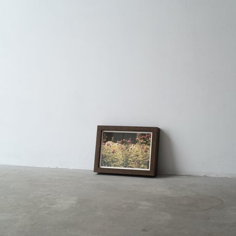 lumikka｜Unfold｜Bloom Ⅳ
