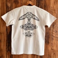 春の三大蛾Tシャツ