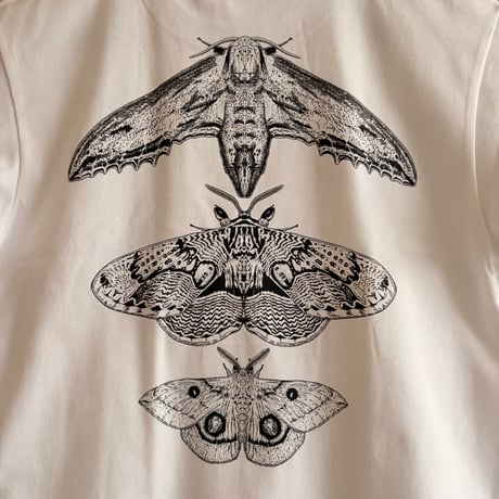 春の三大蛾Tシャツ