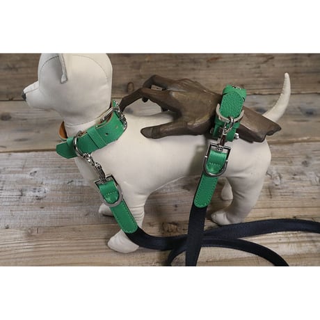 Dog & Owner Matching 20mm Plane Goatskin & Sheet Woven Nylon Leash