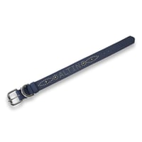 Dog Collar / Sillage